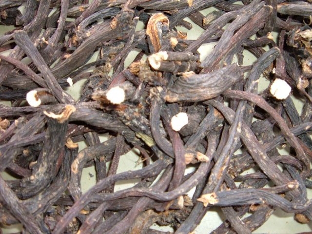 GAVEZ - Symphytum officinalis - suhi korijen gaveza